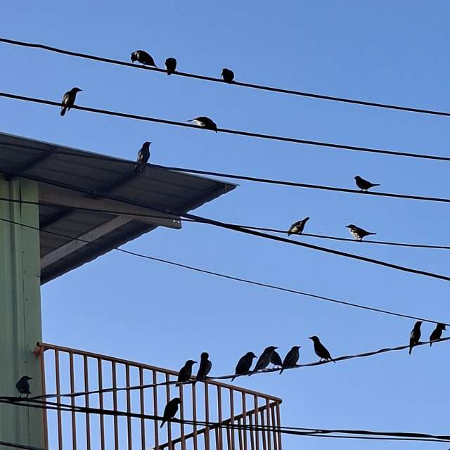 Electronic. Weather forecasts with beautiful photos by Wen-ya Huang Photos in Kaohsiung City