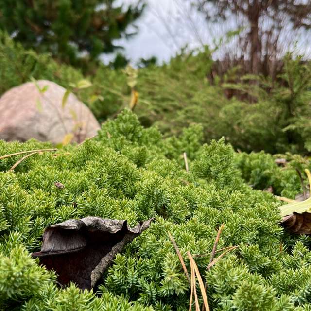 Photos Champ. Prévisions météo avec de superbes photos de Stassy de Teshkovo