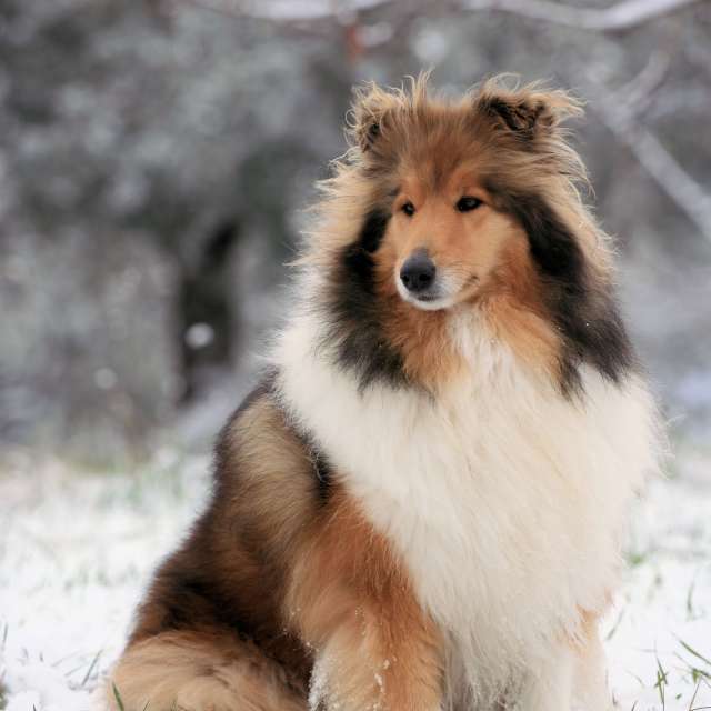 Cold. Weather forecasts with beautiful photos by mary_bell_photo Photos in World