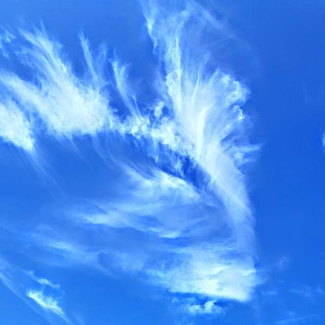 Dự báo thời tiết với những bức ảnh đẹp của Wiesiek