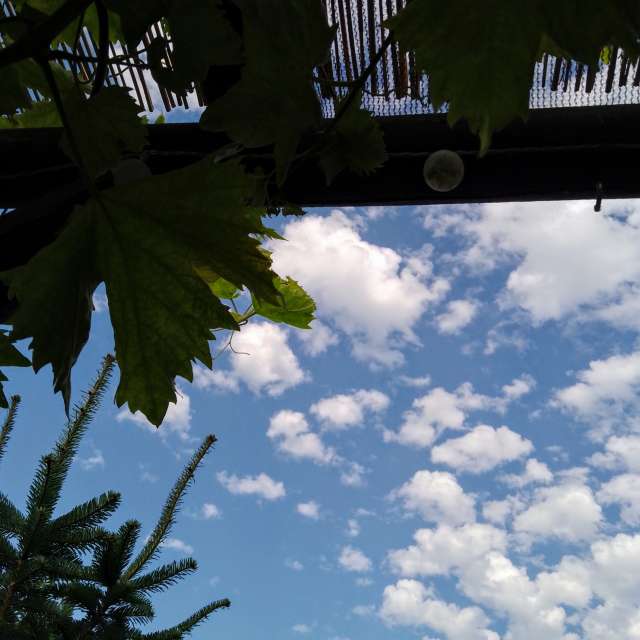 Glasmanの美しい写真による天気予報