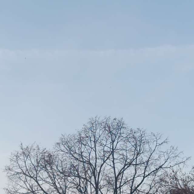 Fotos del Caminando. Pronósticos del tiempo con hermosas fotos de YanBog en Bucharest