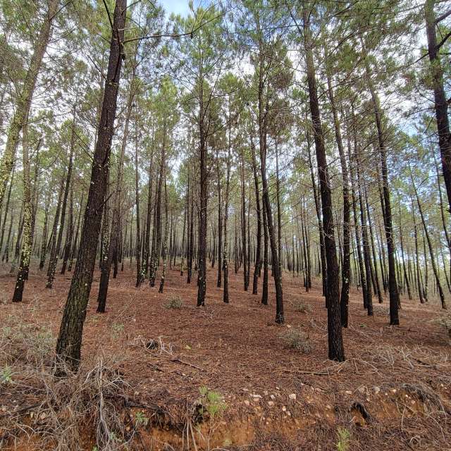 Weather forecasts with beautiful photos by Pcm407