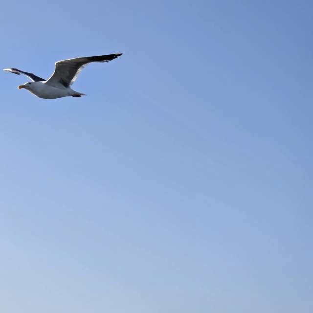 Prévisions météo avec de superbes photos de ubafish