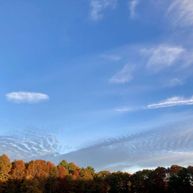 Fotos del Pasto. Pronósticos del tiempo con hermosas fotos de prairiesands en Cape Cod