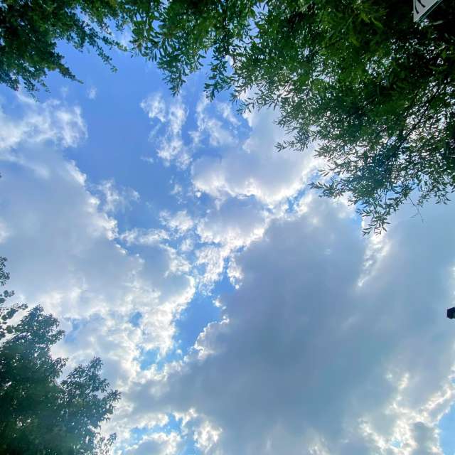 Lulu5523の美しい写真による天気予報