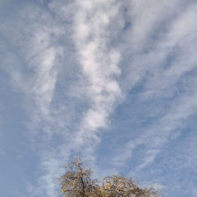 Pronósticos del tiempo con hermosas fotos de YanBog