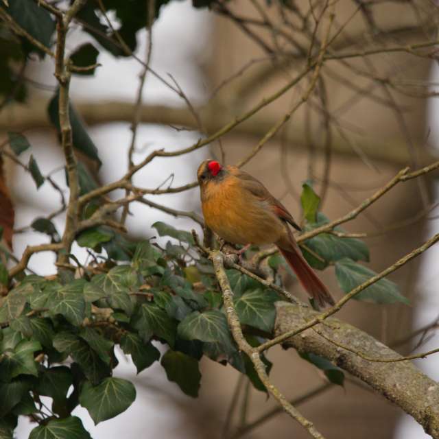 Прогнозы погоды с чудесными фотографиями, сделанными krantzjh