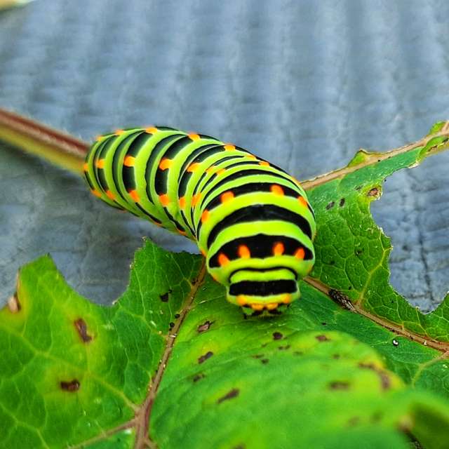 Прогнозы погоды с чудесными фотографиями, сделанными Silly