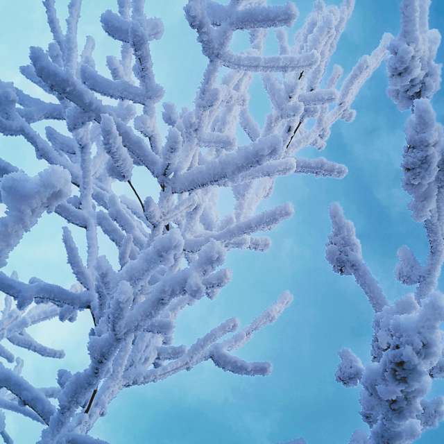 hejpetrpepaの美しい写真による天気予報