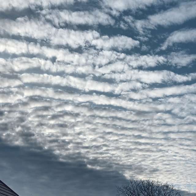 Photos Debout. Prévisions météo avec de superbes photos de Lolli de Maidstone