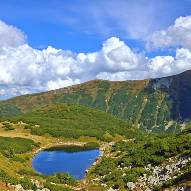 Weather forecasts with beautiful photos by steve2025s