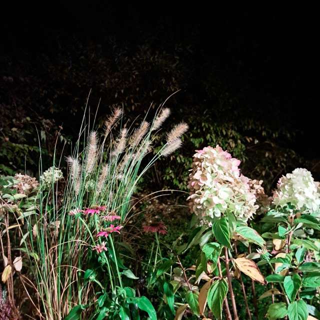 天气预报，带NikolausMinas精美的照片