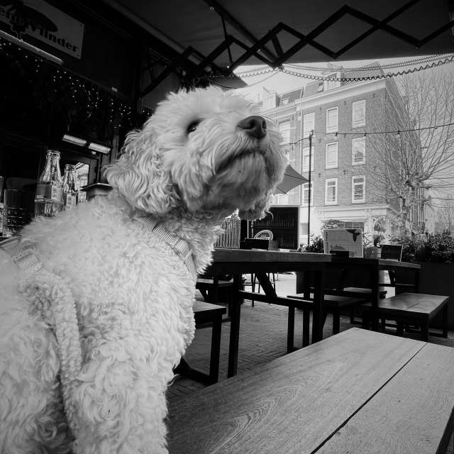 Prévisions météo avec de superbes photos de Bertrand06