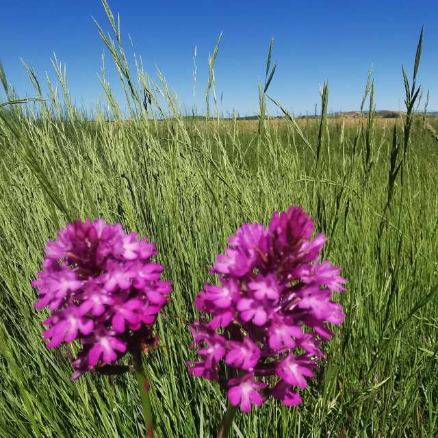 Weather forecasts with beautiful photos by CalligraphyELA