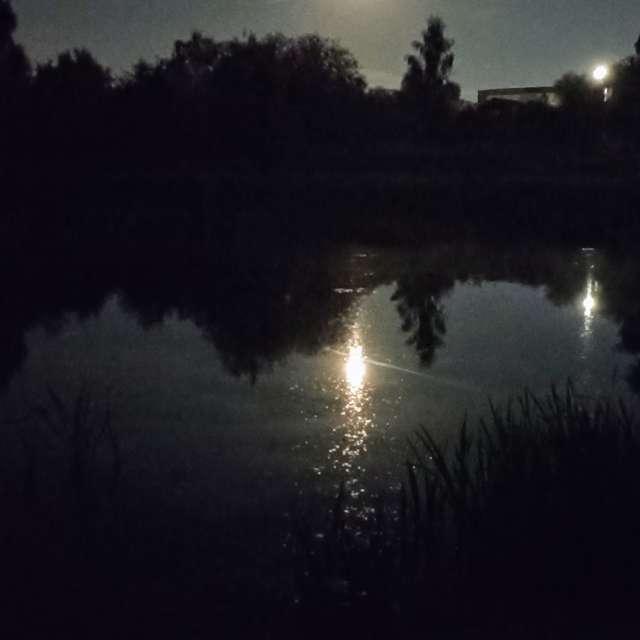 Weather forecasts with beautiful photos by Ратибор