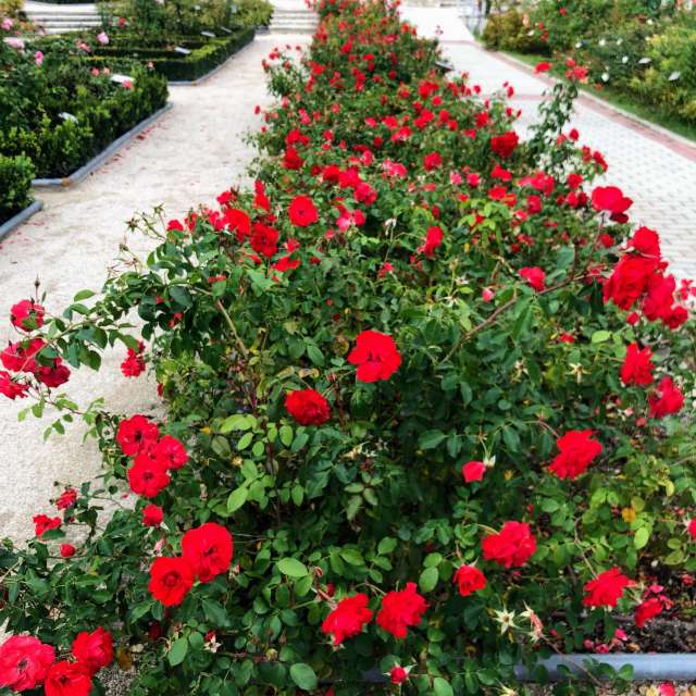 Surrounded. Weather forecasts with beautiful photos by Lulu5523 Photos in Madrid