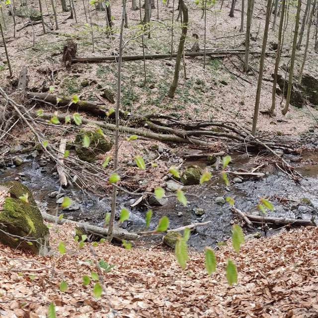 Fotos Campo. Previsões do tempo com lindas fotos de Сергій Данчівський em Uzhgorod