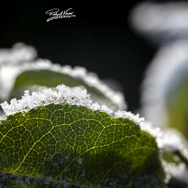 Weather forecasts with beautiful photos by RobertNagaj