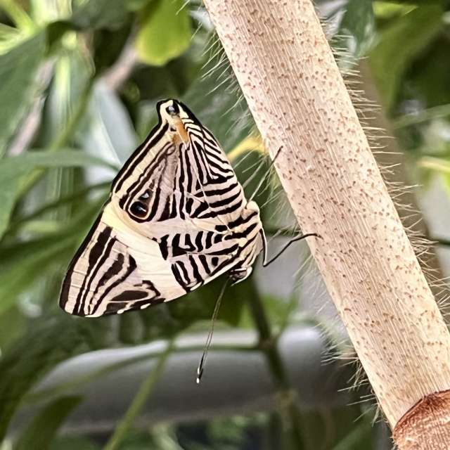 Weather forecasts with beautiful photos by Oksy