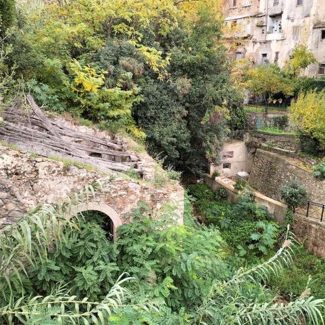 天气预报，带Antonio_Mancuso精美的照片