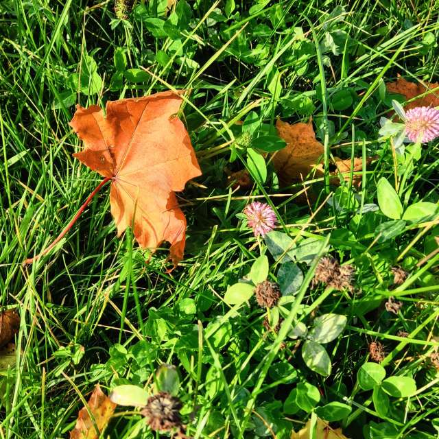 Weather forecasts with beautiful photos by VersusPoint