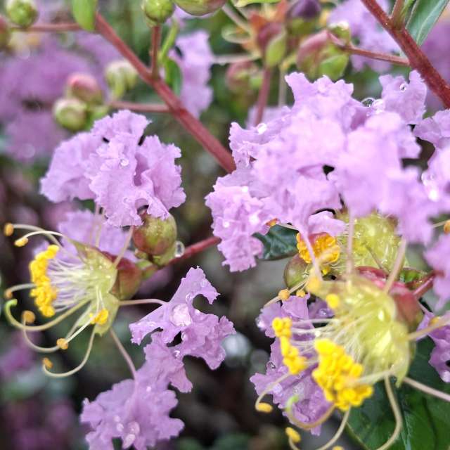 Many. Weather forecasts with beautiful photos by Wen-ya Huang Photos in Kaohsiung City