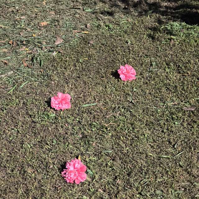 世界の天気写真. Joserobertos74の美しい写真による天気予報