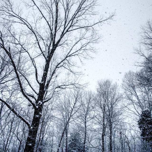 Dự báo thời tiết với những bức ảnh đẹp của krantzjh