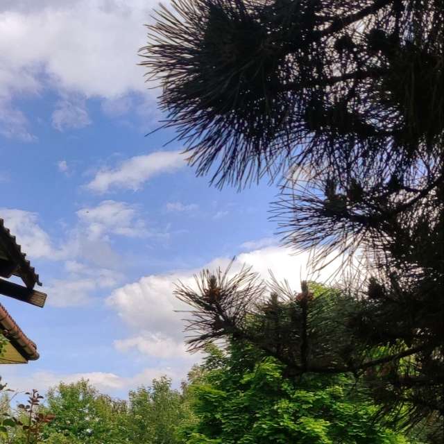 Prévisions météo avec de superbes photos de AlaGibki