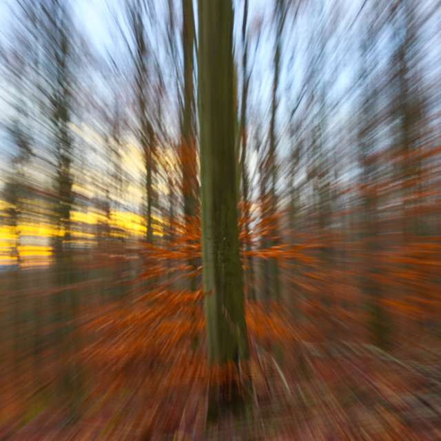 Previsões do tempo com lindas fotos de Juergen