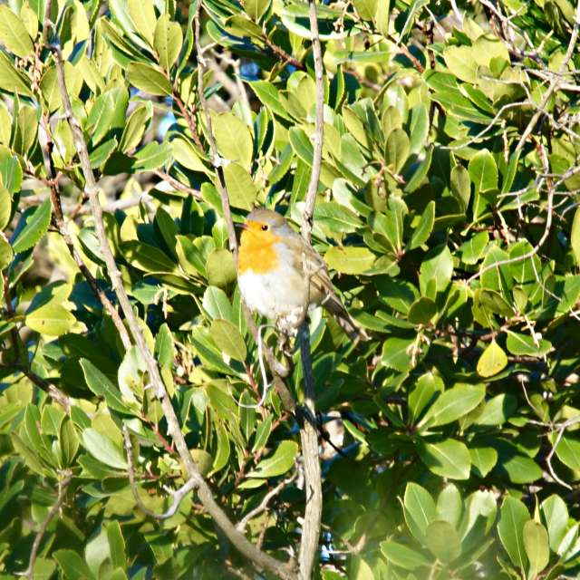 Weather forecasts with beautiful photos by tony5636