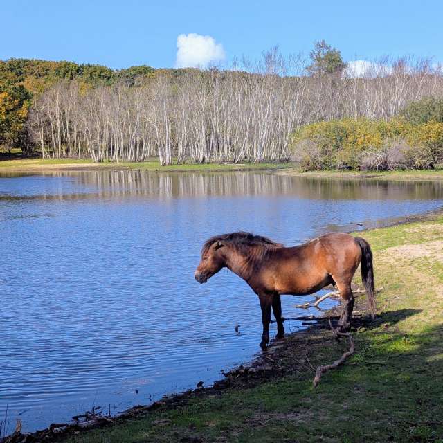Pronósticos del tiempo con hermosas fotos de soykika