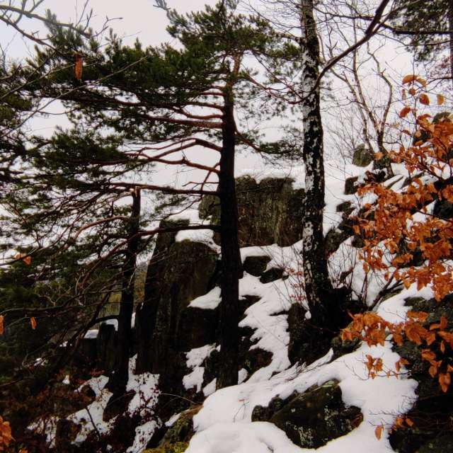 Sitzung. Wettervorhersagen mit schönen Fotos von Kripo Fotos Ladek Zdroj