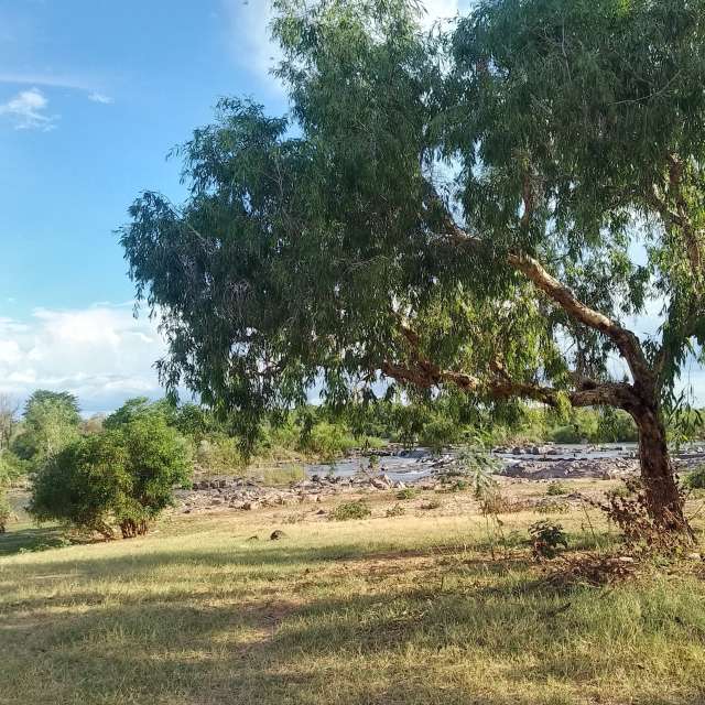 Prévisions météo avec de superbes photos de WelshAussie