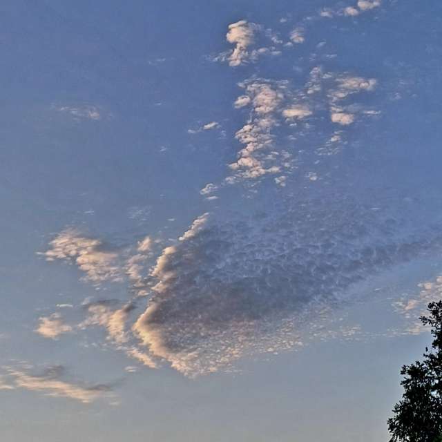 Photos Homme. Prévisions météo avec de superbes photos de Lolli de Maidstone