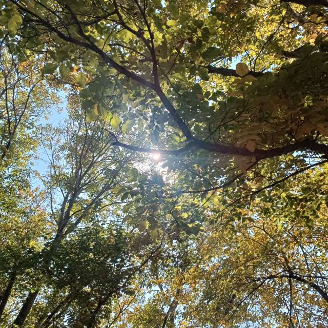 Pronósticos del tiempo con hermosas fotos de miladzee