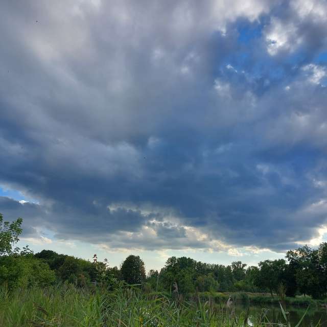 Day. Weather forecasts with beautiful photos by Iryna Photos in Kharkiv