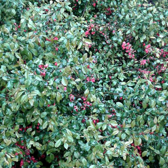 Group. Weather forecasts with beautiful photos by urashm Photos in Khmelnytskyi