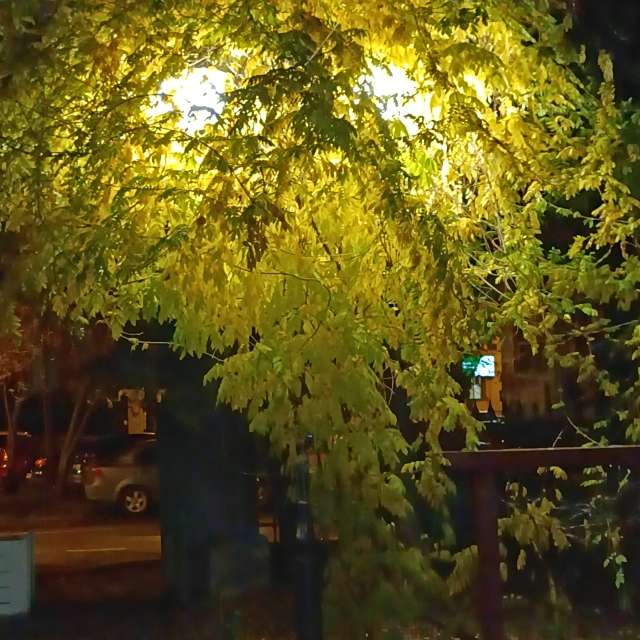 Fotos del Luz. Pronósticos del tiempo con hermosas fotos de YanBog en București