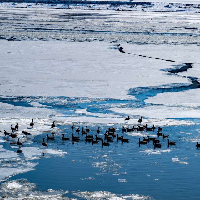 Previsões do tempo com lindas fotos de krantzjh