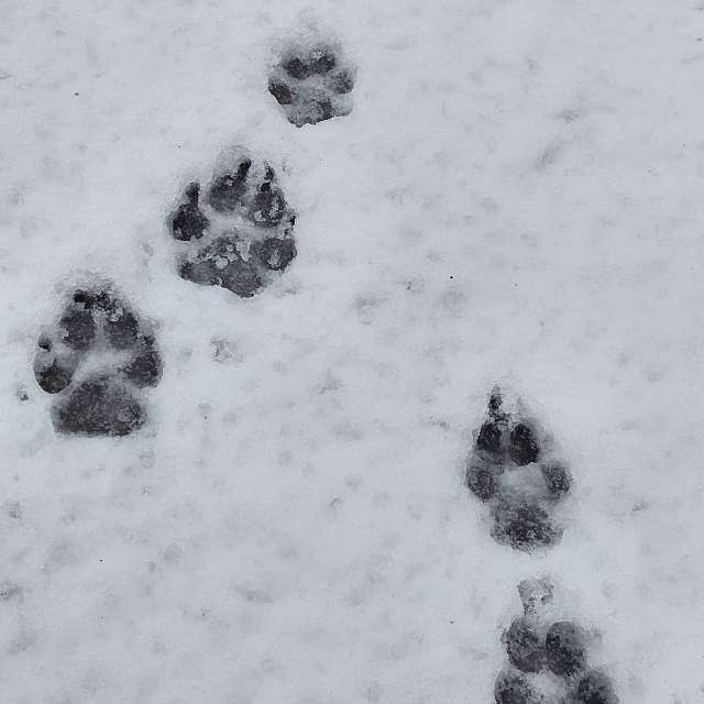 Direction. Weather forecasts with beautiful photos by Iryna Photos in Kharkiv