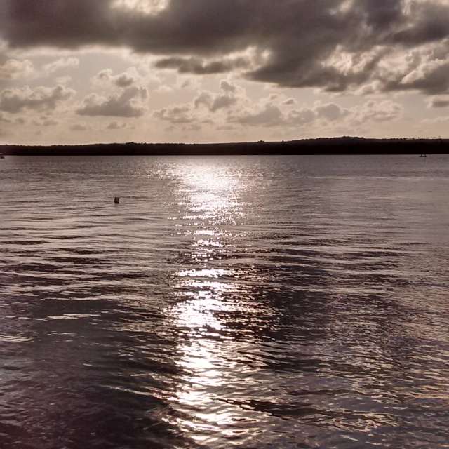 Pronósticos del tiempo con hermosas fotos de Bruy
