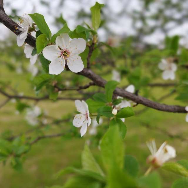 Prévisions météo avec de superbes photos de Grochul_18