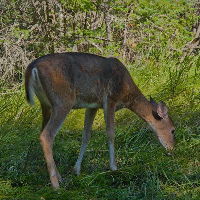 Photos météo à . Prévisions météo avec de superbes photos de krantzjh