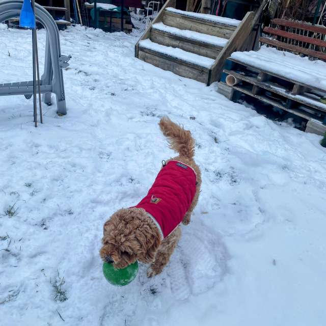 Прогнозы погоды с чудесными фотографиями, сделанными Lulu5523