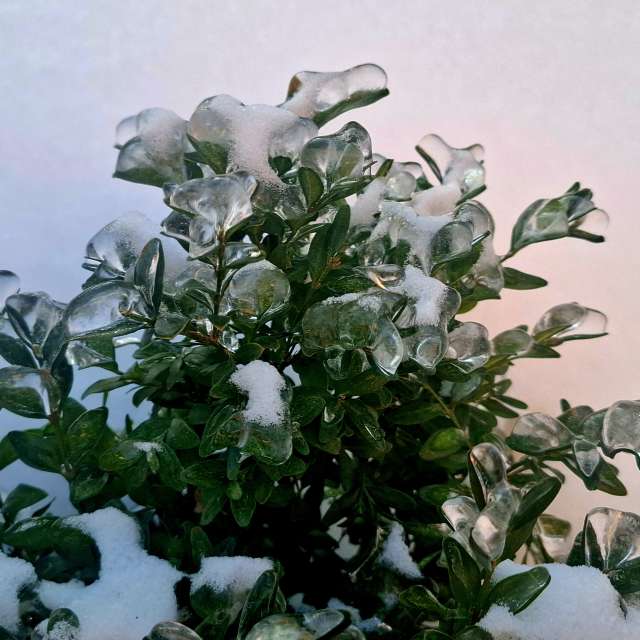 Weather forecasts with beautiful photos by Iryna