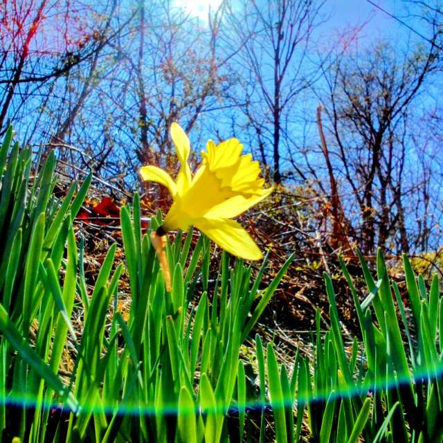 Previsões do tempo com lindas fotos de eilertannunaki