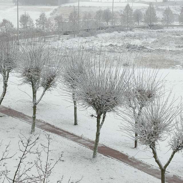 Pronósticos del tiempo con hermosas fotos de Romek58