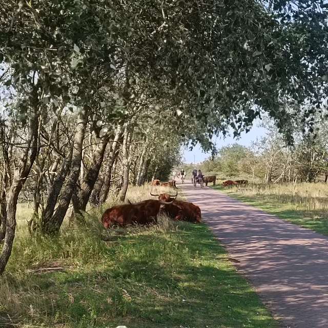 Prévisions météo avec de superbes photos de Nigh1man